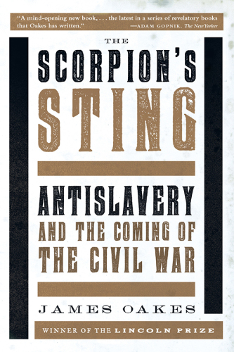 The scorpion's sting: antislavery and the coming of the civil war