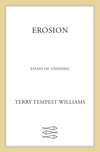 Erosion: essays of undoing