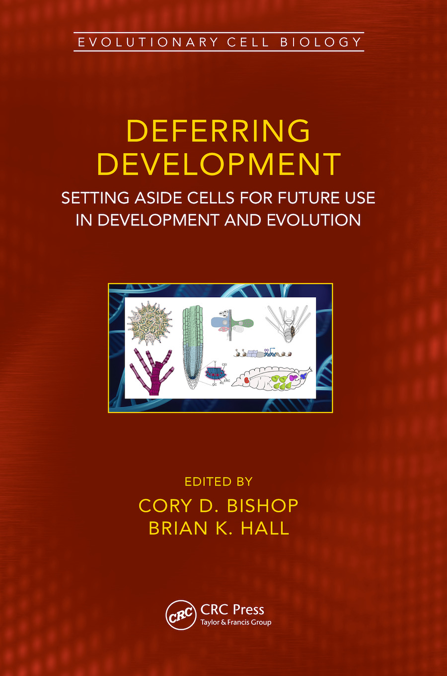 Deferring Development-Setting Aside Cells for Future Use in Development and Evolution