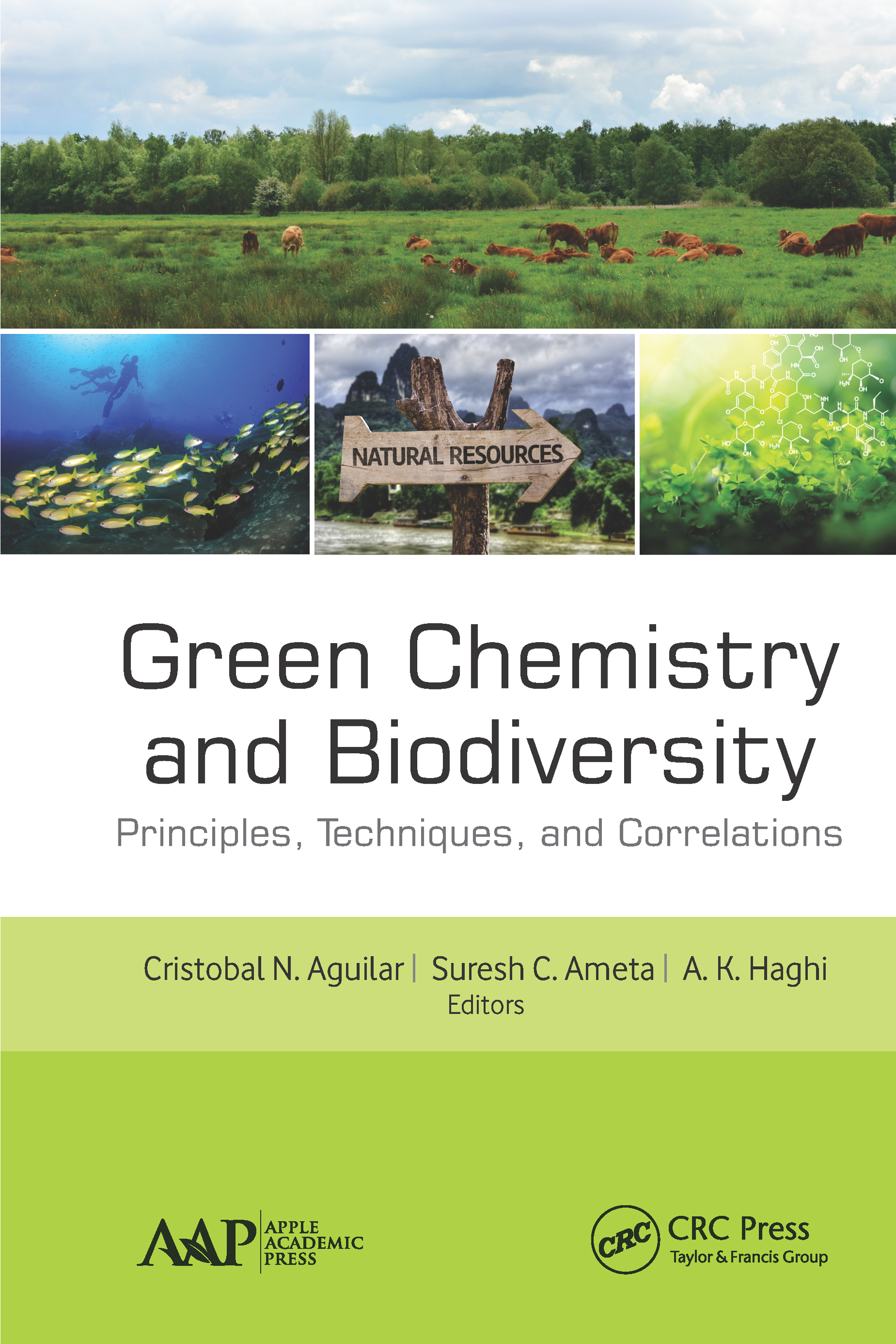 Green Chemistry and Biodiversity-Principles, Techniques, and Correlations