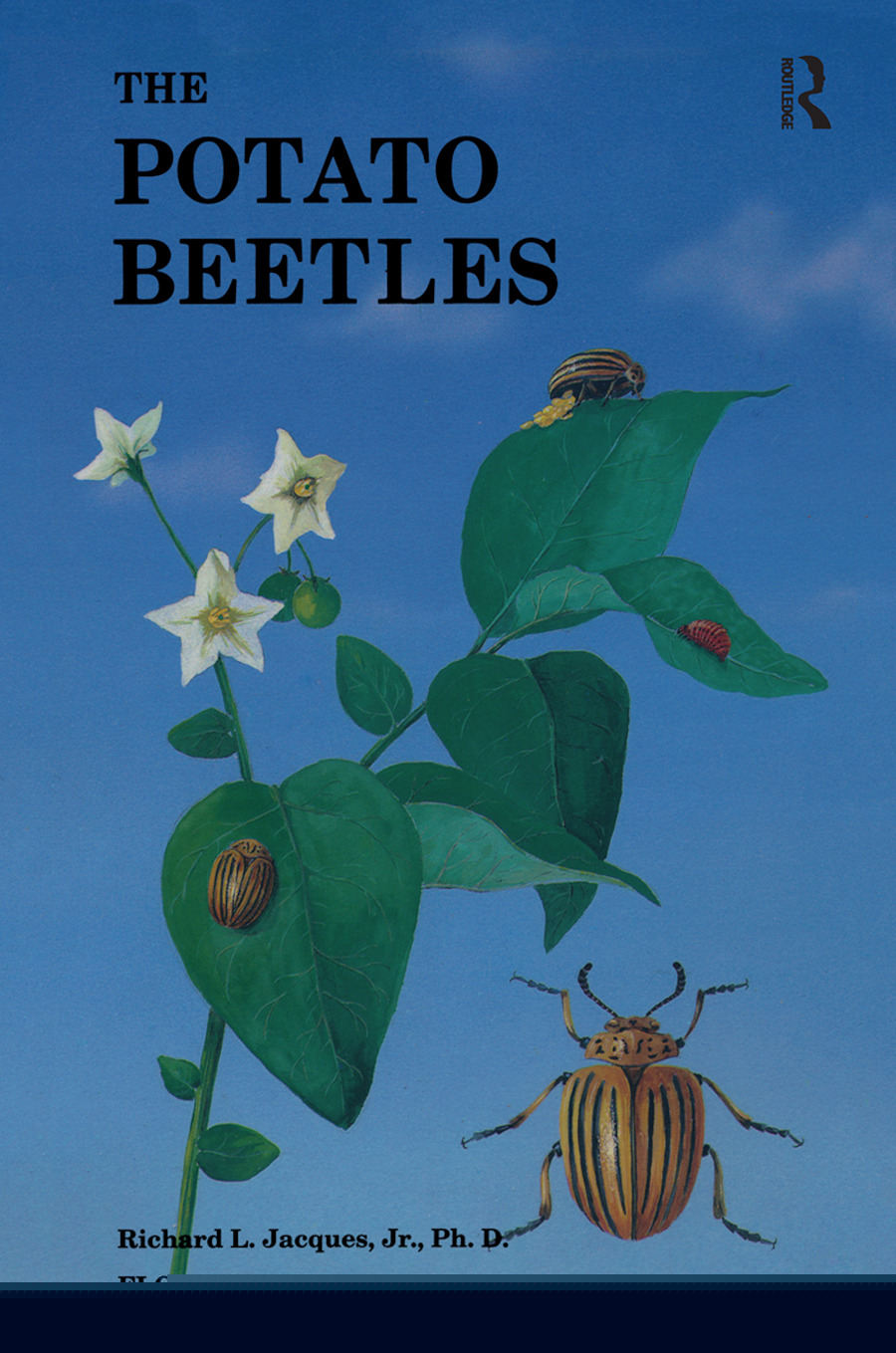 The Potato Beetles