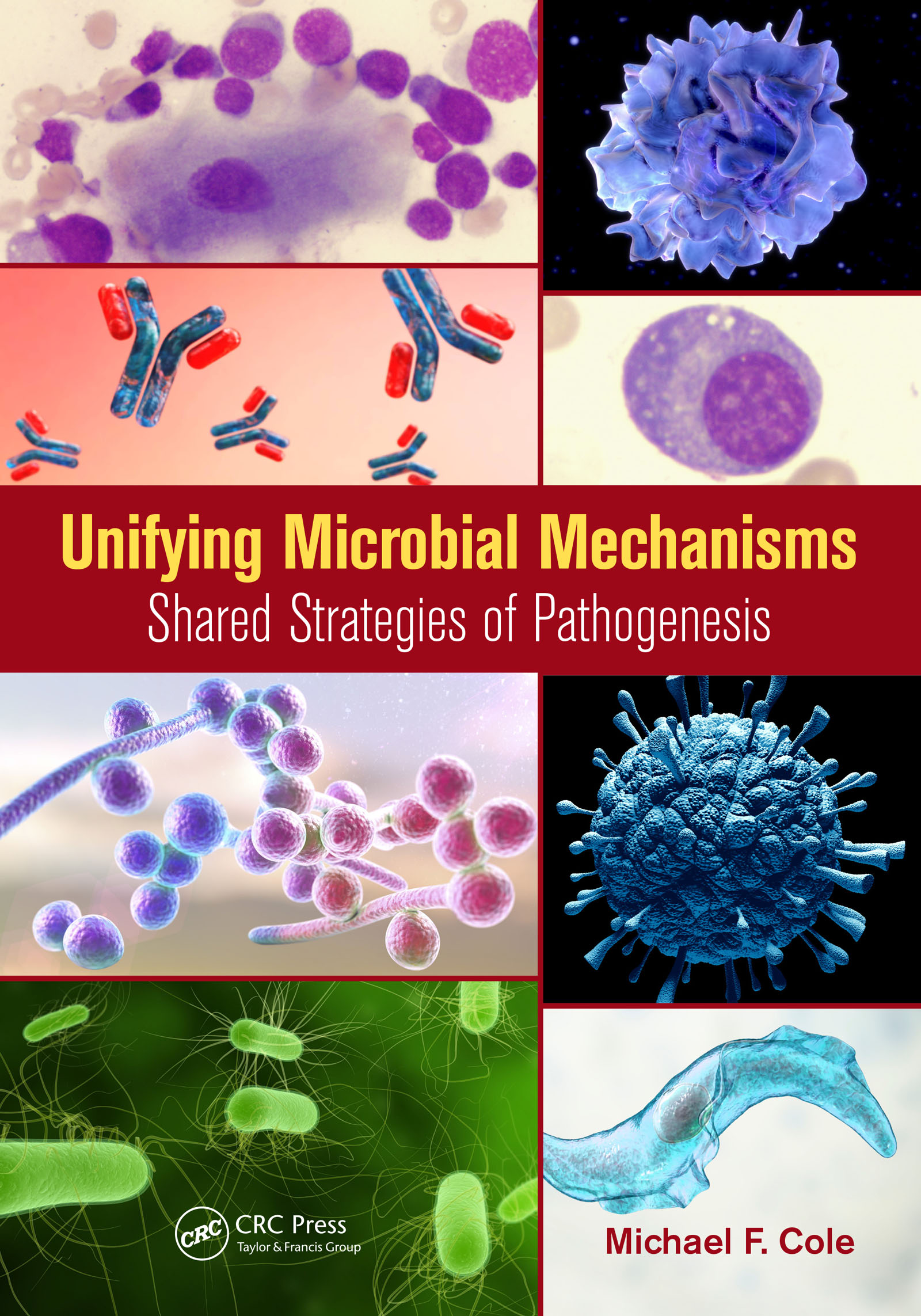 Unifying Microbial Mechanisms-Shared Strategies of Pathogenesis