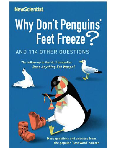 Why Don't Penguins Feet Freeze?