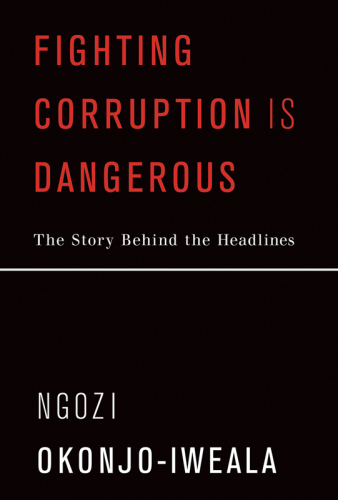 Fighting corruption is dangerous: the story behind the headlines
