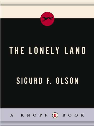 The lonely land