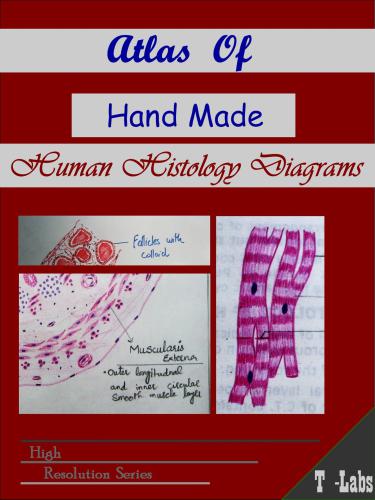 Atlas Of Hand Made Human Histology Diagrams