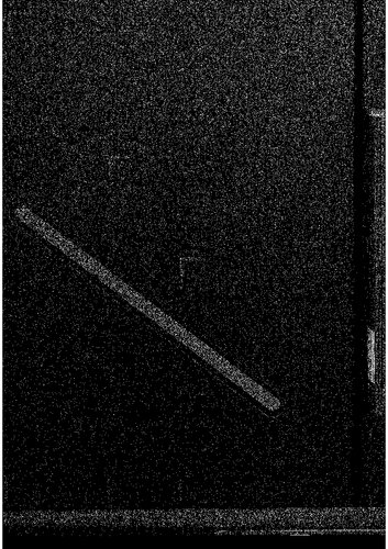 State continuity and nationality: the Baltic states and Russia - past, present and future as defined by international law