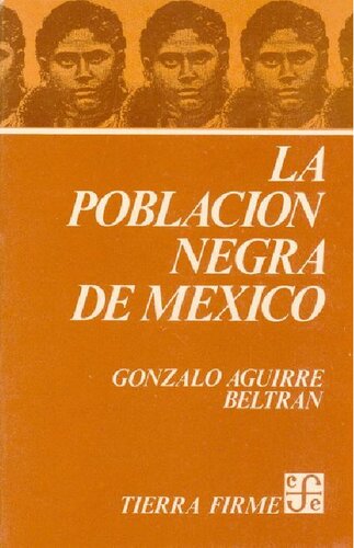 La población negra de México