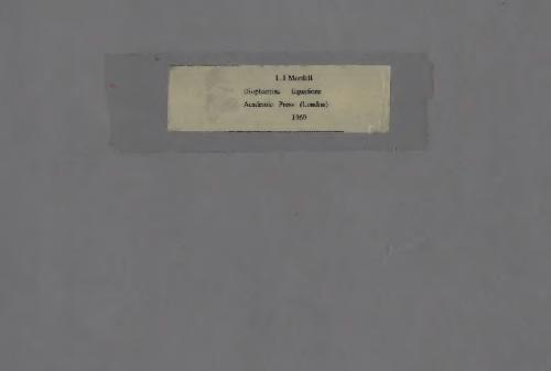 Diophantine equations