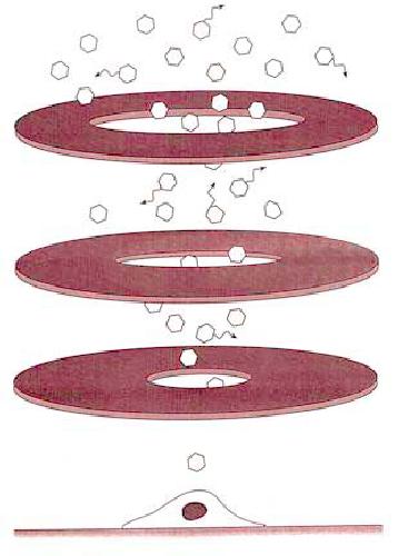 Gene Therapy Protocols