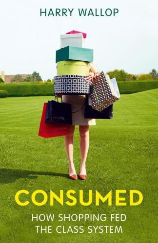 Consumed: How Shopping Fed the Class System