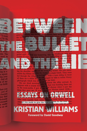 Between the bullet and the lie: essays on Orwell