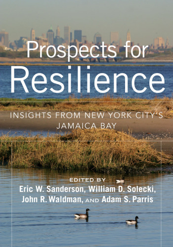 Prospects for resilience: insights from New York City's Jamaica Bay