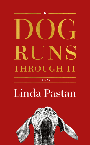 A dog runs through it: poems