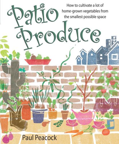 Patio Produce: How to cultivate a lot of home-grown vegetables from the smallest possible space