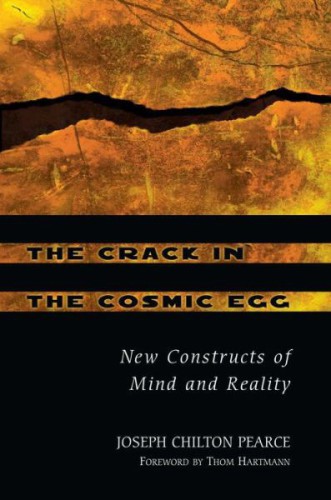 The crack in the cosmic egg: challenging constructs of mind & reality