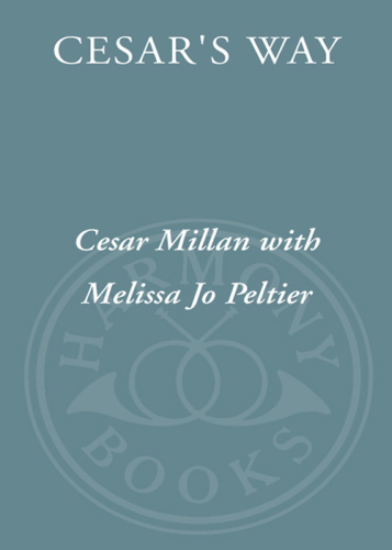 Cesar's way: the natural, everyday guide to understanding and correcting common dog problems