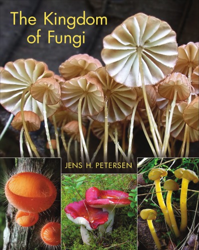 The kingdom of fungi
