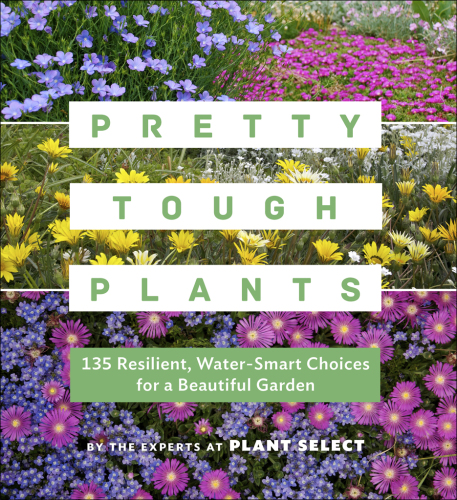 Pretty tough plants: 135 resilient, water-smart choices for a beautiful garden