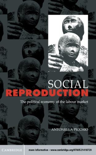 Social reproduction: the political economy of labour market