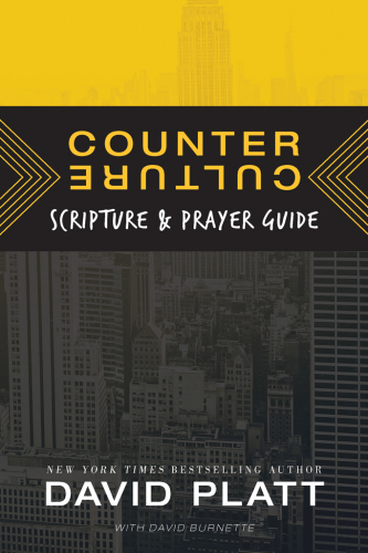 Counter culture travel guide: a 30-day tour of christs response to todays culture