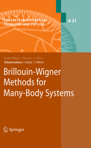 Brillouin-Wigner methods for many-body systems