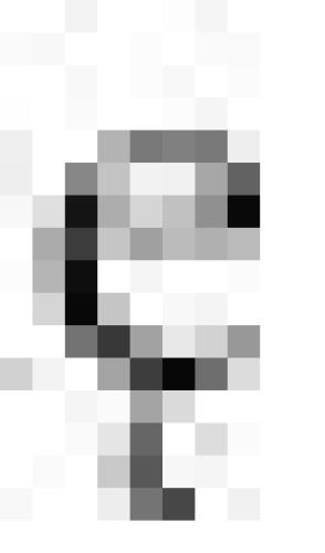 The Ghosts of Europe: Journeys through Central Europe's Troubled Past and Uncertain Future