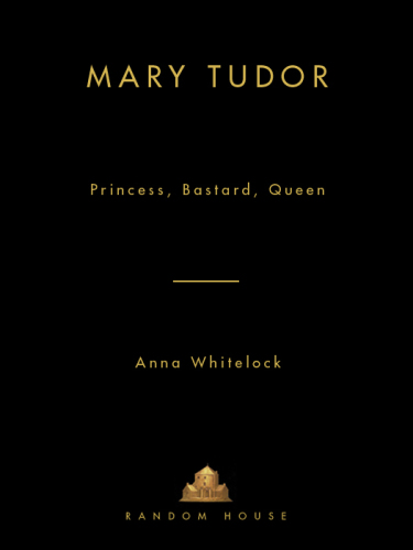 Mary Tudor: Princess, Bastard, Queen