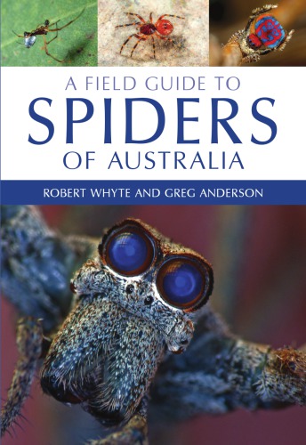 Field Guide to Spiders of Australia