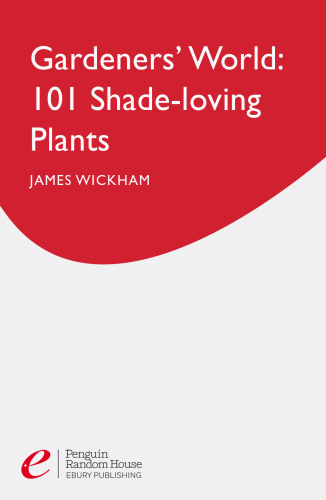 101 shade-loving plants: ideas to lighten shadows