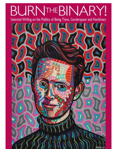 Burn the binary! selected writing on the politics of being trans, genderqueer, and nonbinary