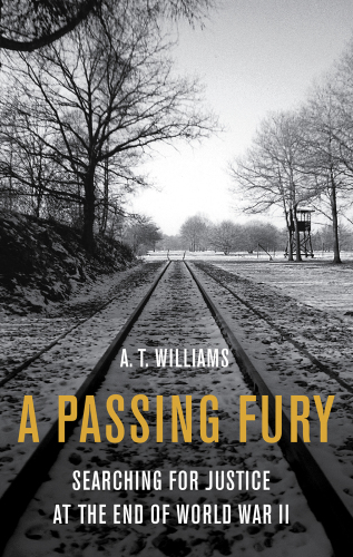 A passing fury: searching for justice at the war's end
