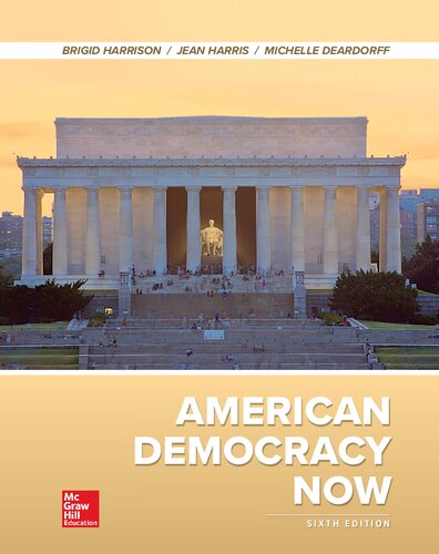 American democracy now
