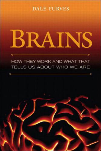 Brains: How They Seem to Work