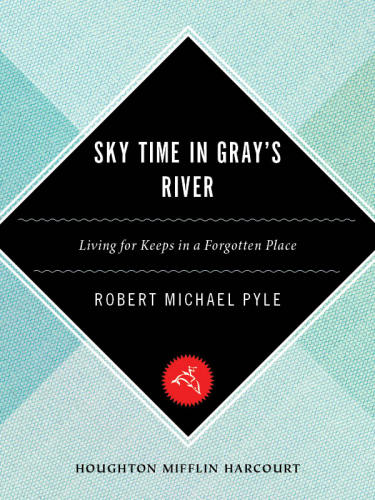Sky time in Gray's River: living for keeps in a forgotten place