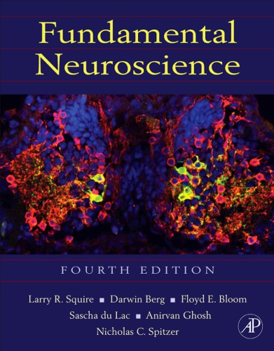 Fundamental neuroscience