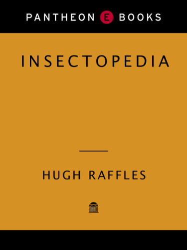 Insectopedia