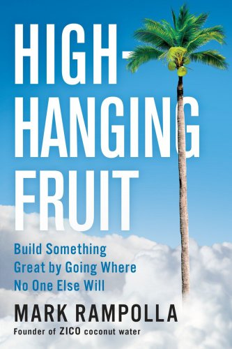 High-hanging fruit: build something great by going where no one else will