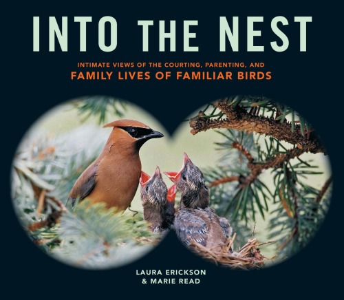 Into the nest