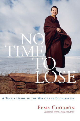 No time to lose: a timely guide to the way of the bodhisattva
