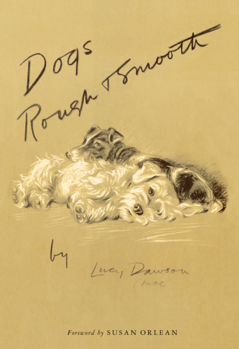 Dogs rough and smooth: foreword by susan orlean