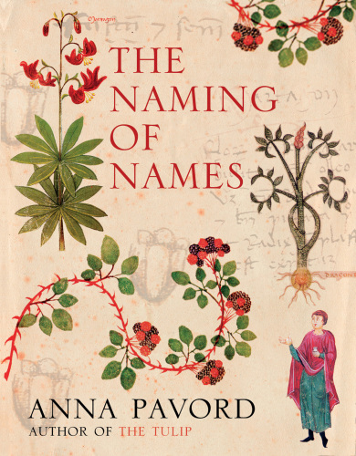 The Naming Of Names: the Search For Order In The World Of Plants