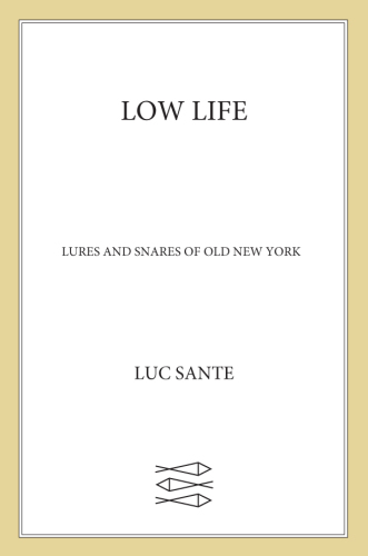 Low life: lures and snares of old New York