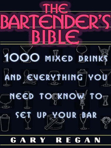 The bartender's bible: 1001 mixed drinks and everything you need to know to set up your own bar
