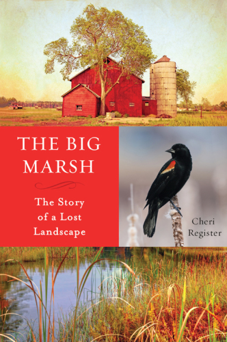 The Big Marsh: the story of a lost landscape