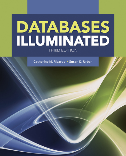 Databases Illuminated