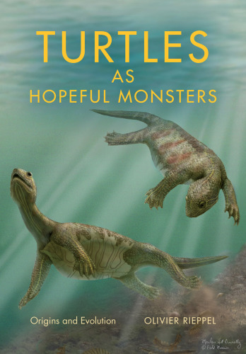 Turtles as hopeful monsters: origins and evolution