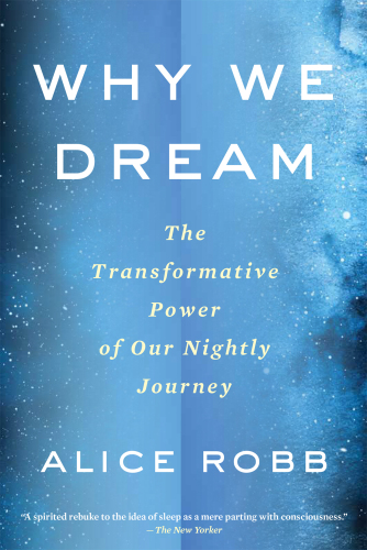 Why we dream: the transformative power of our nightly reset