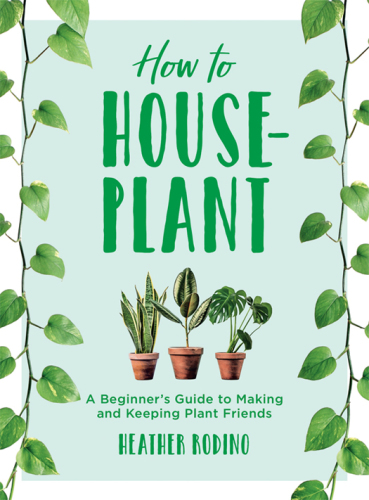 How to houseplant: a beginner's guide to making and keeping plant friends