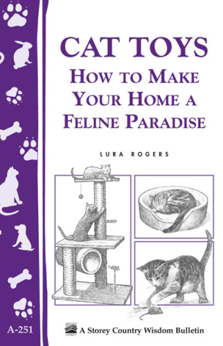 Cat toys: how to make your home a feline paradise